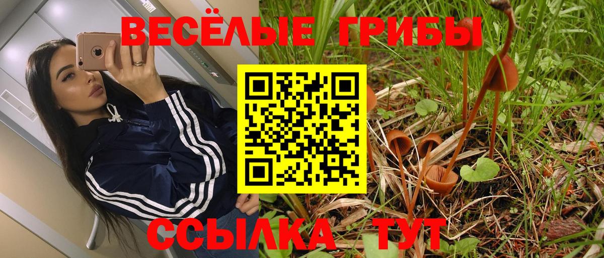 Зерноград  Псилоцибиновые грибы Psilocybine cubensis  Вход с VPN 