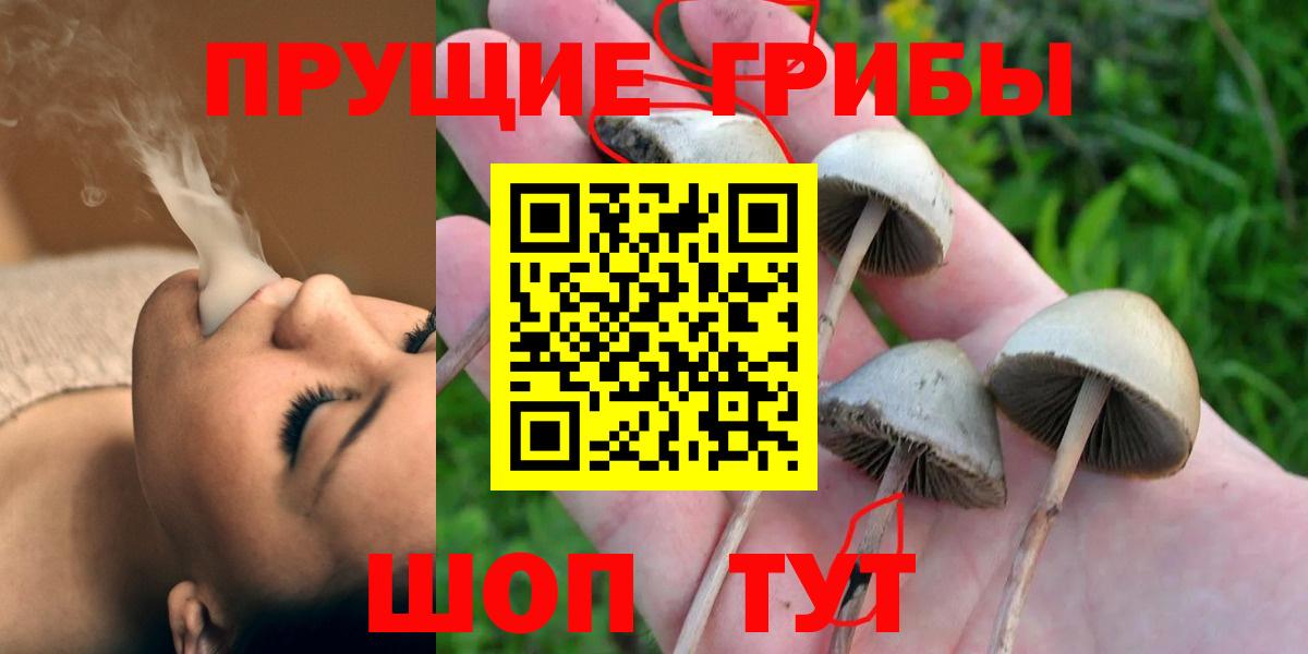 Псилоцибиновые грибы Cubensis Зерноград